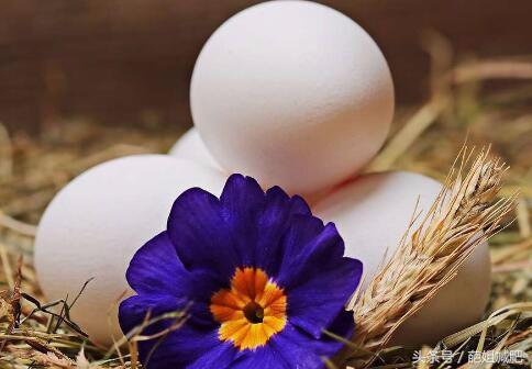 蛋黄含有多少胆固醇