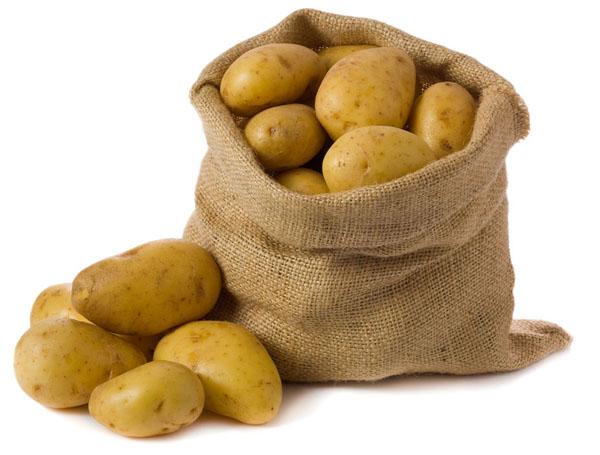 土豆在第一天的发芽后长度是多少